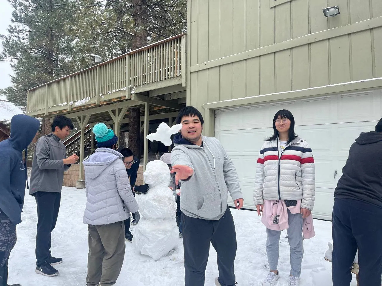 a group of darbs t-posing